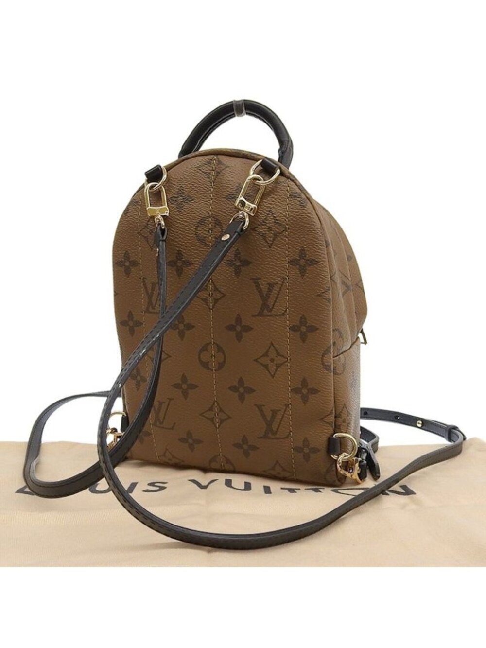 Louis Vuitton Monogram Reverse Palm Springs Mini Backpack Daypack